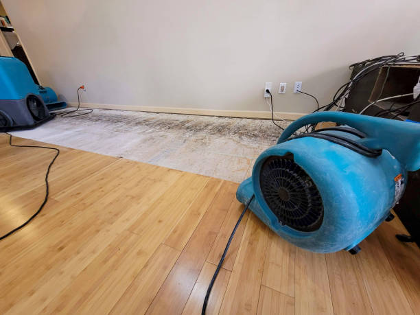 Professional Ceiling Water Damage Repair technician working in Sanders, KY
